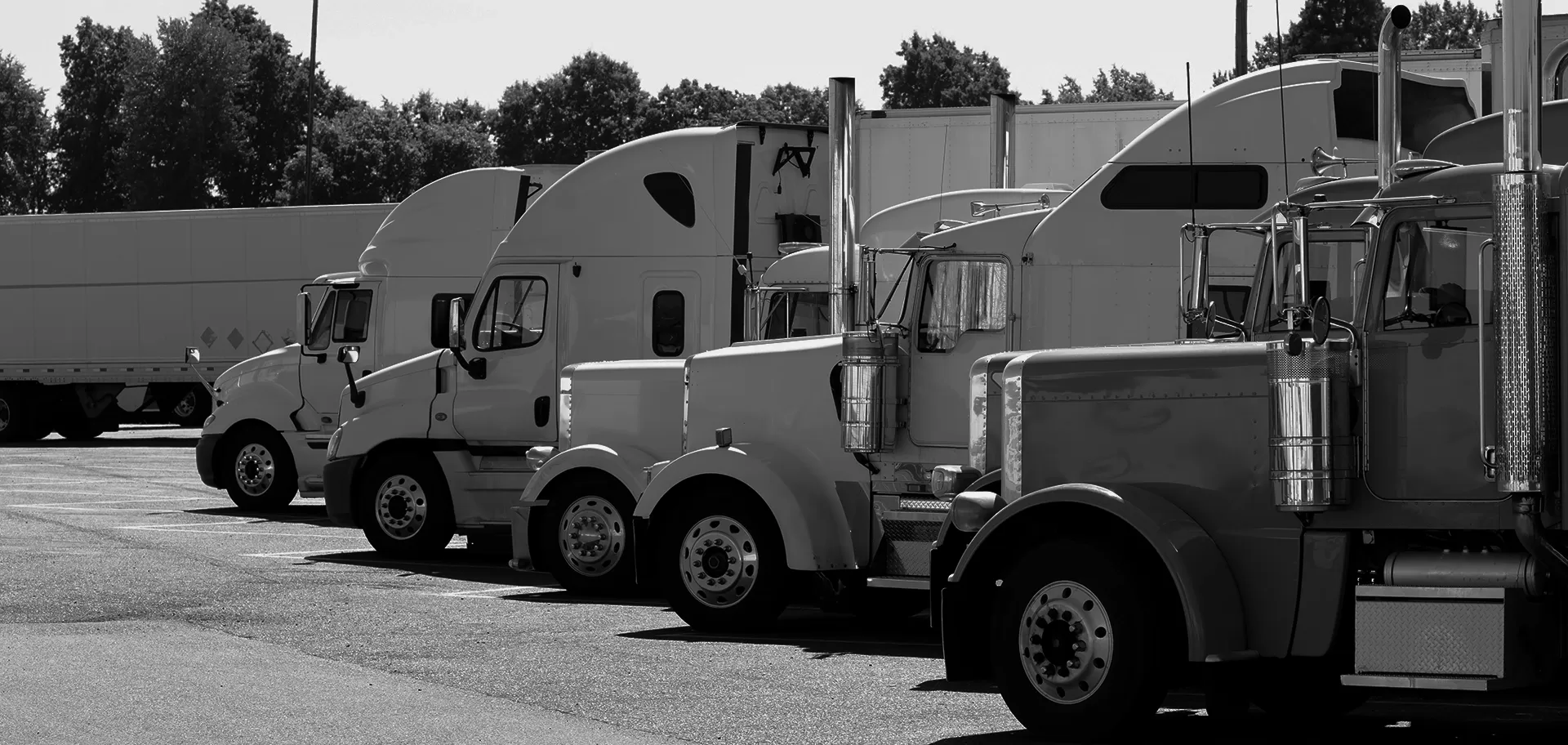 Our trucks
